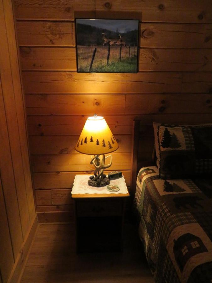 Misty Creek Log Cabins Maggie Valley Extérieur photo